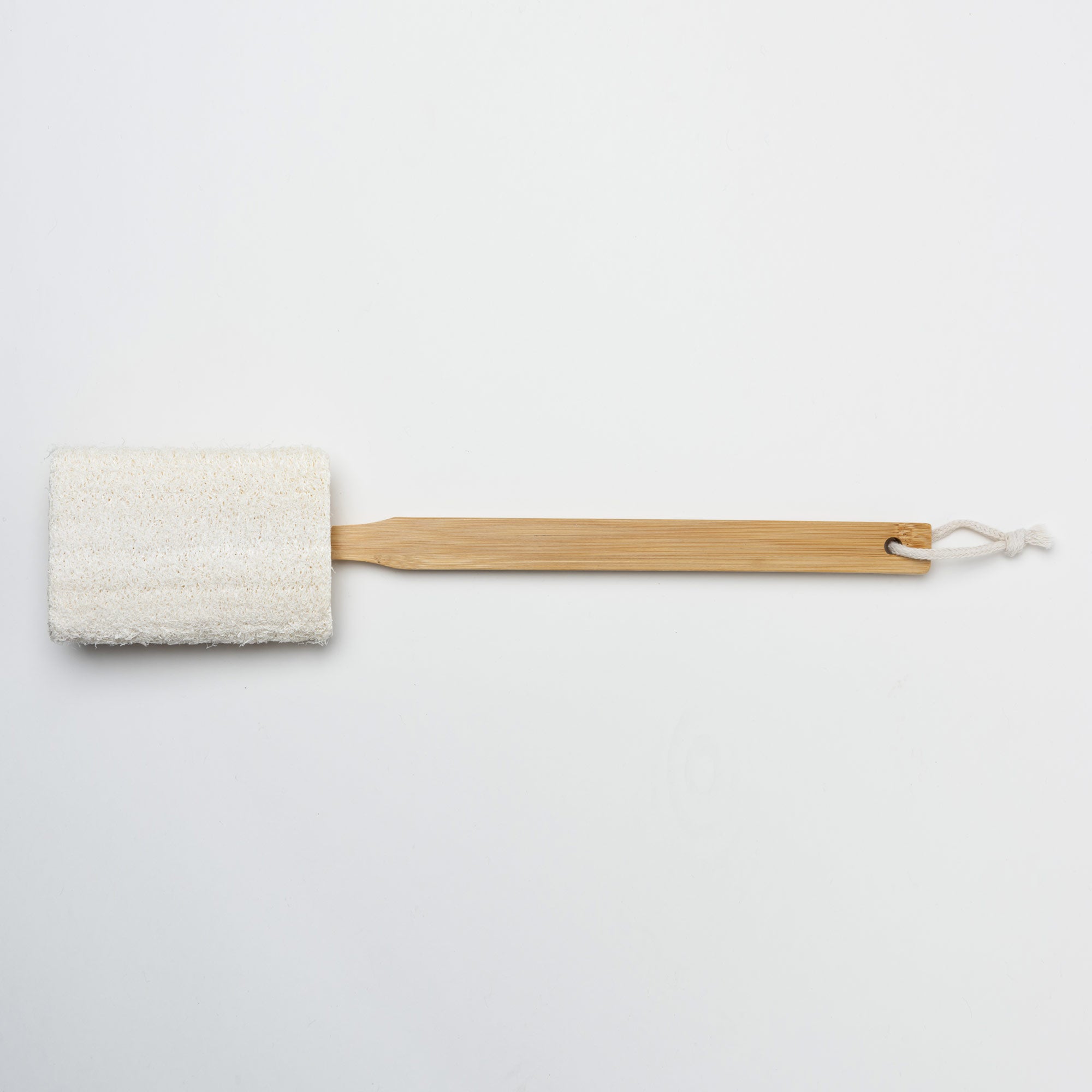 Loofah Brush